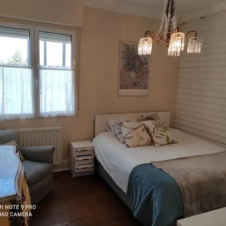 Acogedor Piso De 3 Habitaciones En Neguri Getxo 公寓 格乔
